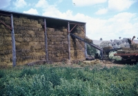 28 The Hay Shed at the Dairy 1959