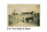 Dairy and Silos