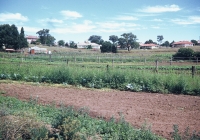 40 View of the Village from the Vegetable Garden