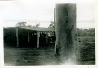 Farm machinery shed 1960
